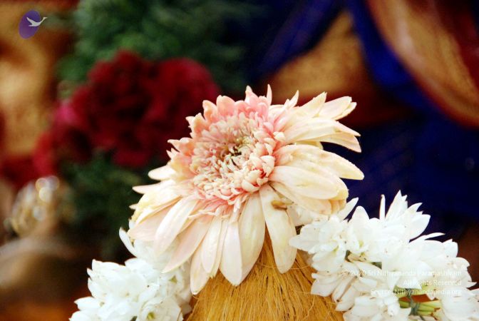 20091224DSC 2606 CMP WM001000.jpg