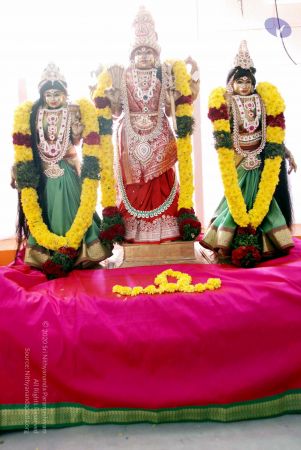 20091224DSC 2609 CMP WM001000.jpg