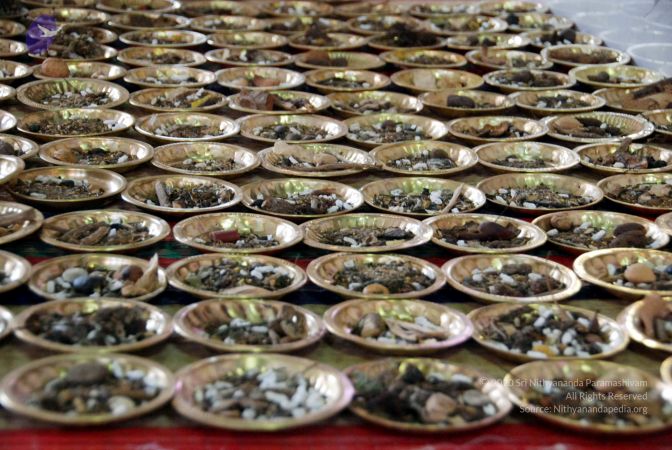 20091224DSC 2619 CMP WM001000.jpg