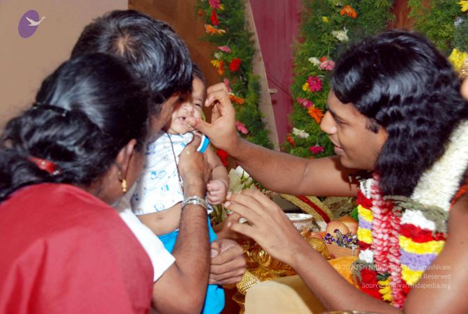 20091224DSC 2798 CMP WM001000.jpg