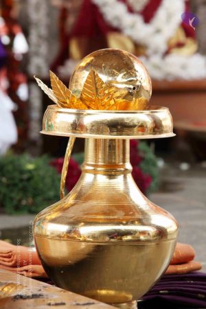 20091224IMG 6782 CMP WM001000.jpg