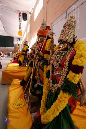 20091224IMG 6858 CMP WM001000.jpg