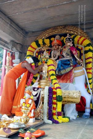 20091227DSC 6291 CMP WM00001000.jpg