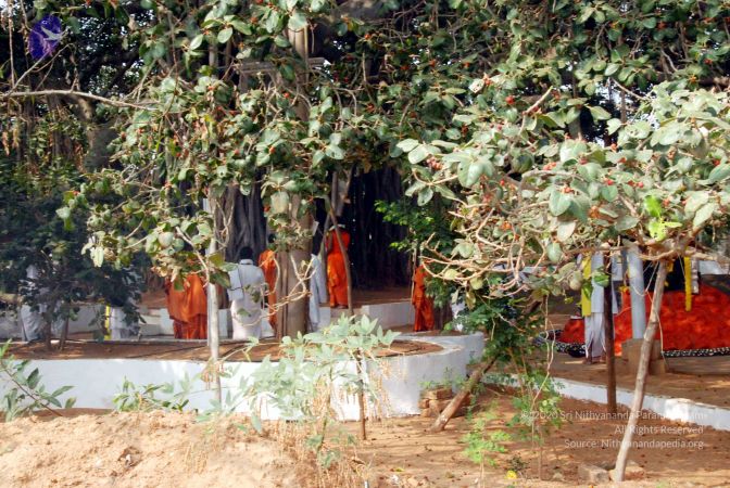 20091227DSC 6318 CMP WM00001000.jpg