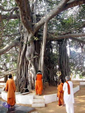 20091227IMG 0383 CMP WM00100.jpg