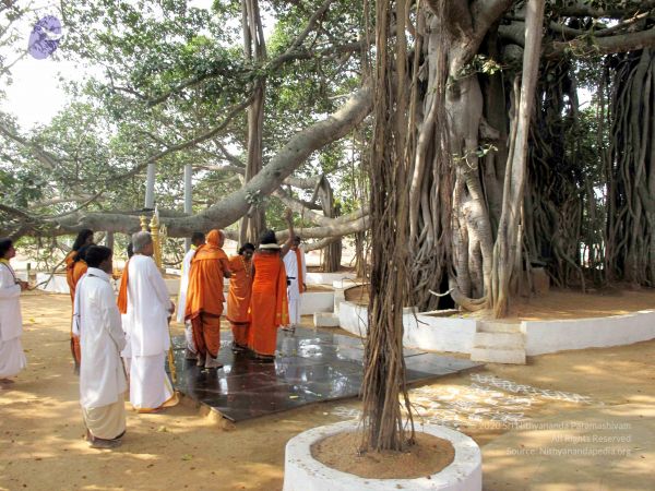 20091227IMG 0394 CMP WM00100.jpg