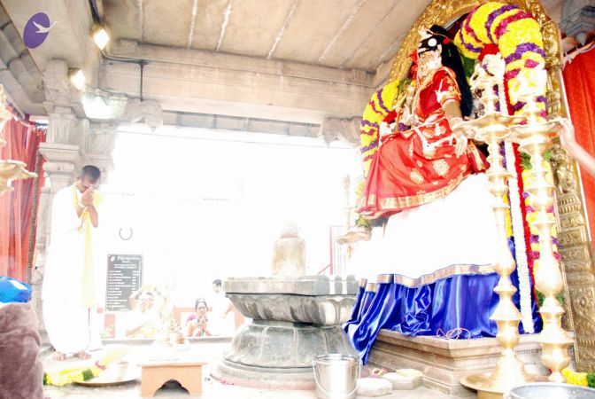 20091228DSC 7430 CMP WM001.jpg