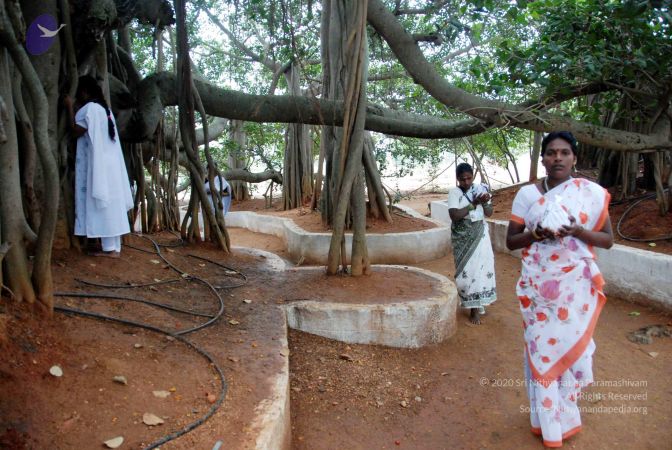 20091228DSC 7472 CMP WM001.jpg