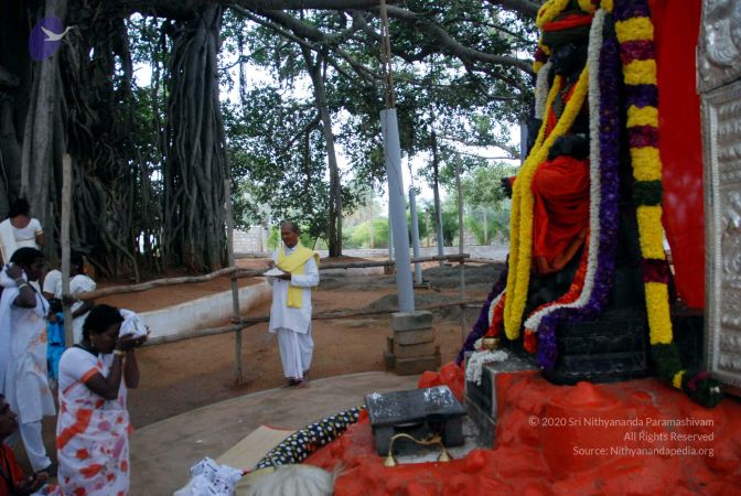 20091228DSC 7481 CMP WM001.jpg