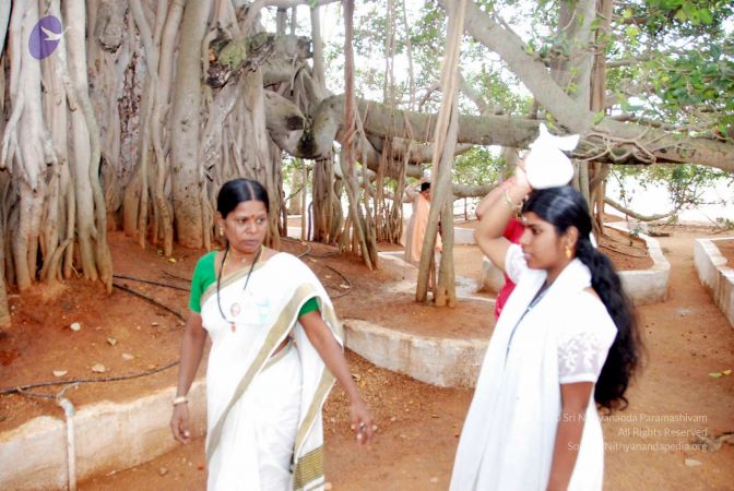 20091228DSC 7494 CMP WM001.jpg