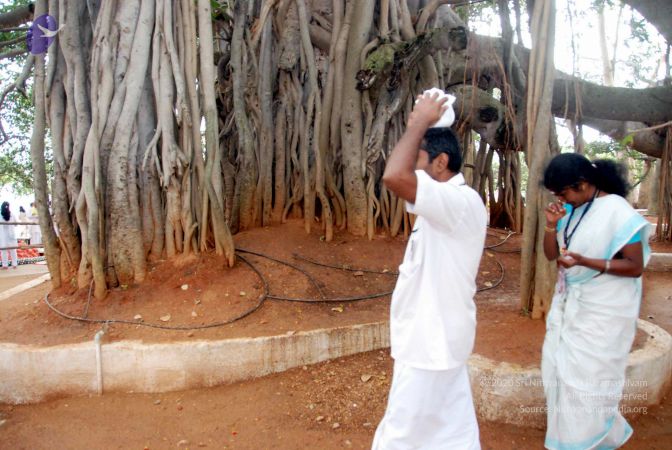 20091228DSC 7549 CMP WM001.jpg