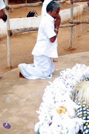 20091228DSC 7568 CMP WM001.jpg