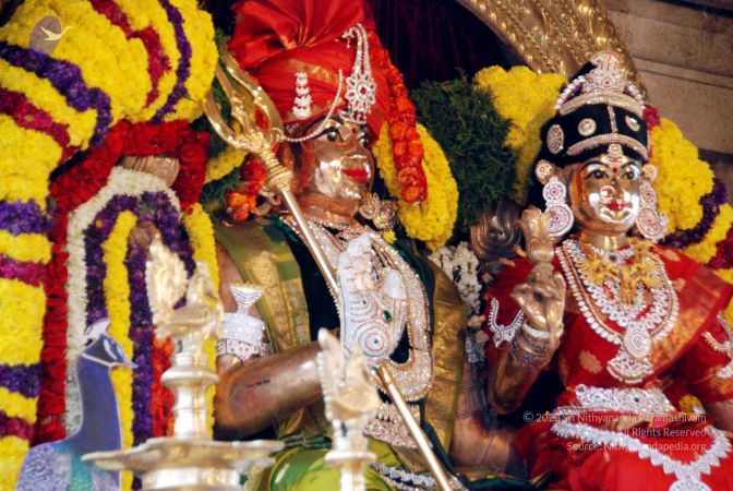 20091228DSC 7681 CMP WM00100 HOMA.jpg