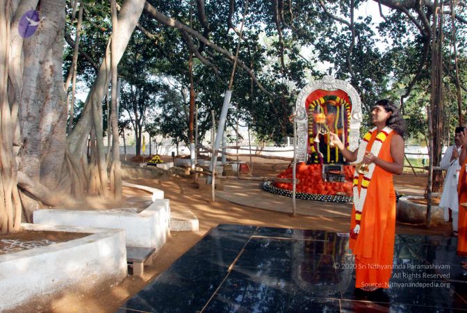 20091229DSC 7811 CMP WM00100 Procession.jpg