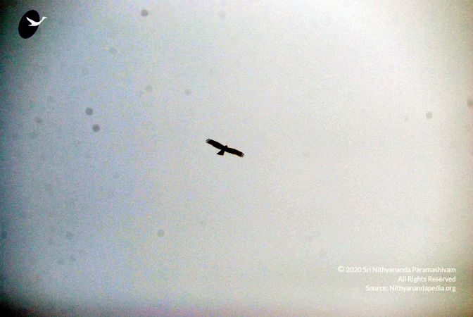 20091229DSC 7946 CMP WM00100 Procession.jpg