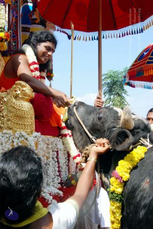 20091229DSC 8522 CMP WM00100 Procession.jpg