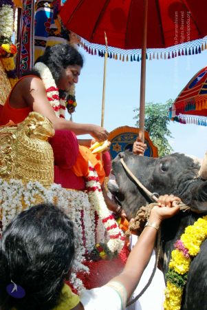 20091229DSC 8523 CMP WM00100 Procession.jpg