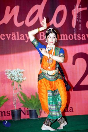 20091229IMG 1292 CMP WM01.jpg