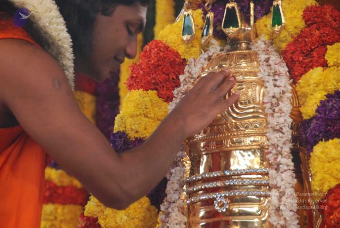 20091230DSC 9029 CMP WM0001.jpg