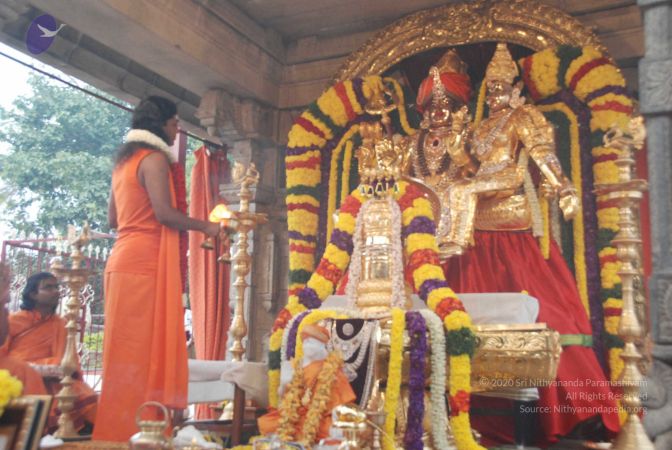 20091230DSC 9033 CMP WM0001.jpg