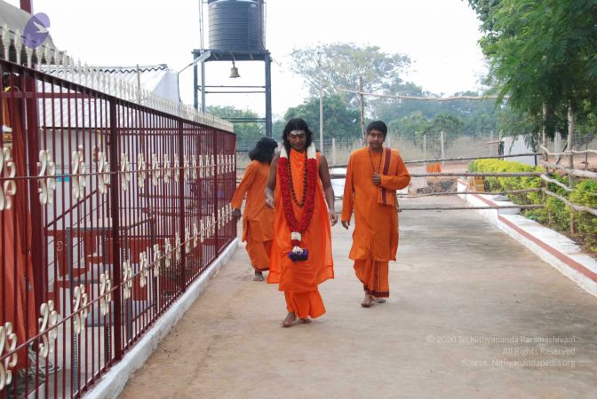 20091230DSC 9041 CMP WM0001.jpg