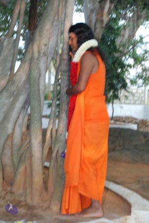 20091230DSC 9048 CMP WM0001.jpg