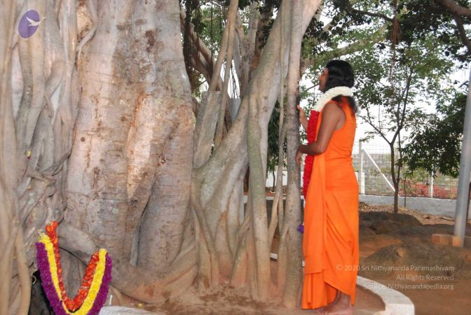 20091230DSC 9050 CMP WM0001.jpg