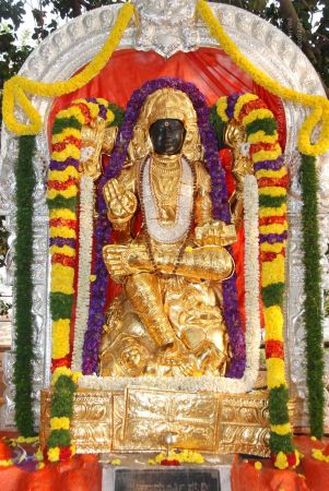 20091230DSC 9060 CMP WM0001.jpg