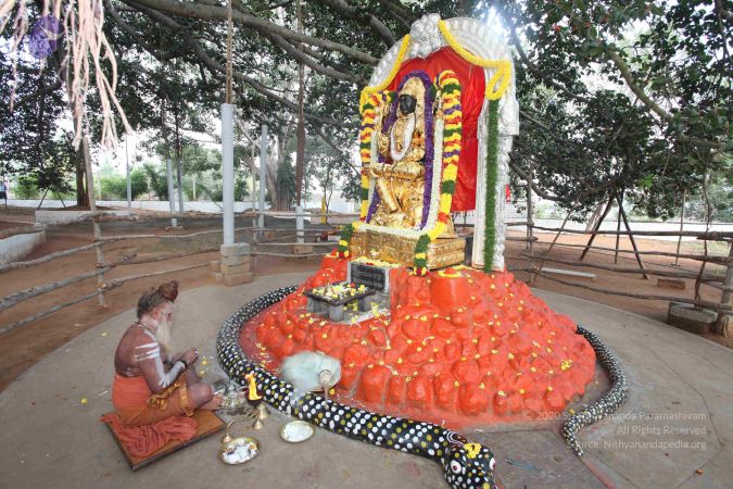 20091230IMG 1449 CMP WM0001.jpg