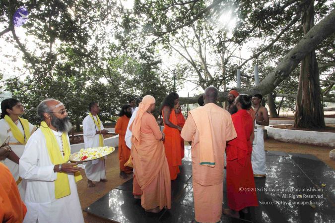 20091230IMG 1454 CMP WM0001.jpg