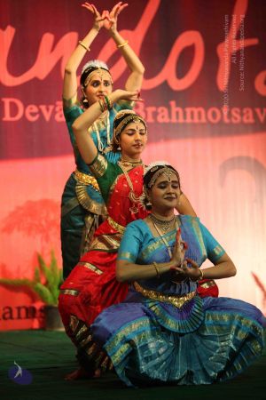 20091230IMG 2390 CMP WM001.jpg