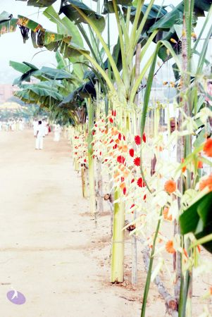 20091231 DSC 0039 CMP WM 0000.jpg