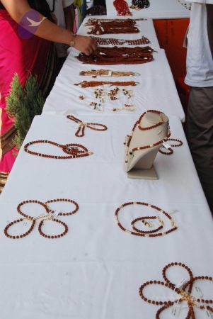 20091231 DSC 0599 CMP WM 00010.jpg