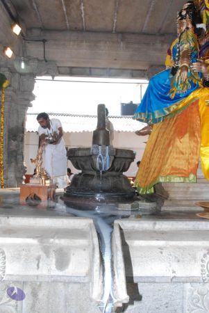 20091231 DSC 0686 CMP WM 00001000.jpg