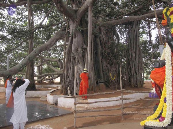 20091231 IMG 0945 CMP WM 0000100.jpg