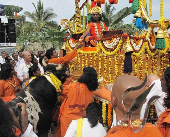 20091231 IMG 1030 CMP WM 0000100.jpg