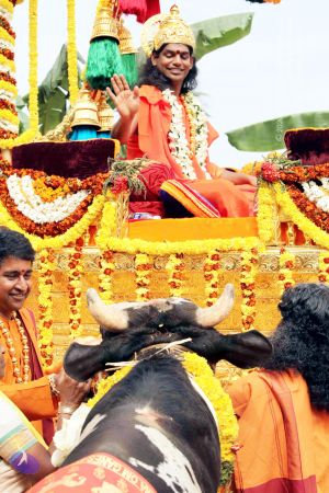 20091231 IMG 3201 CMP WM 0000.jpg