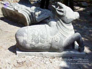 2009 1b CMP WM01.jpg