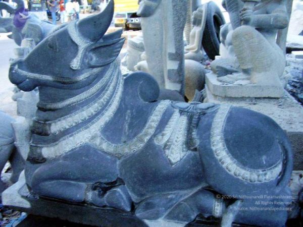 2009 3c CMP WM01.jpg