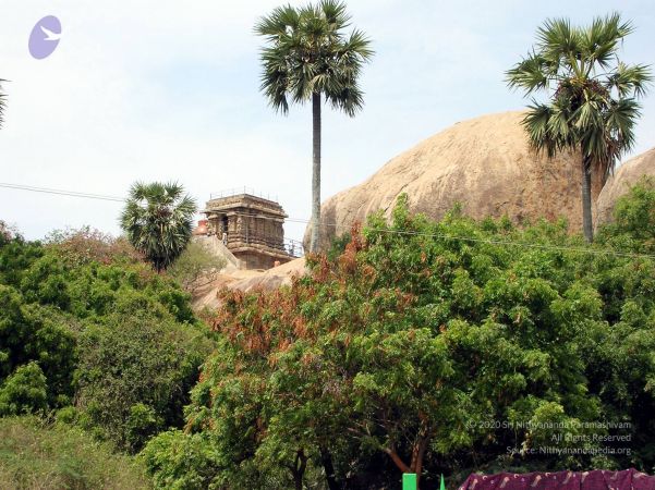 2009 DSCN1105 CMP WM01.jpg