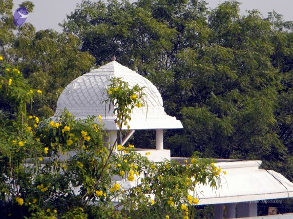 20100101DSCN2477 CMP WM001.jpg