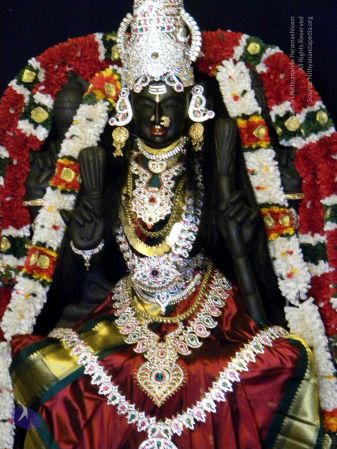 20100101DSCN2532 CMP WM001.jpg