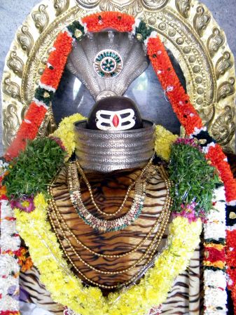 20100101 DSCN2557 CMP WM 0011.jpg