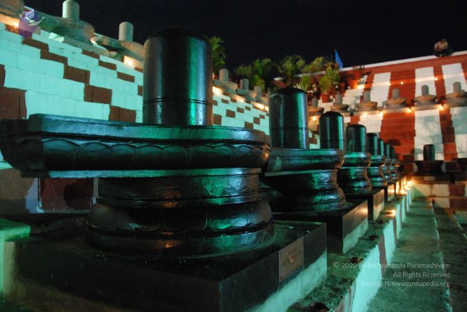 20100102 Photo 1223 1PcQOxesQlm9nlhNt UgzknxzBKWOVsli.JPG