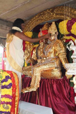 20100102 Photo 1324 19YuJ1Xs8T7gBlrju6pTX8z0FyMkrWkW6.JPG