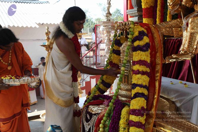 20100102 Photo 1332 11ySct69EZ64DJ8Ns4D6ys1BBWRgJzRWB.JPG