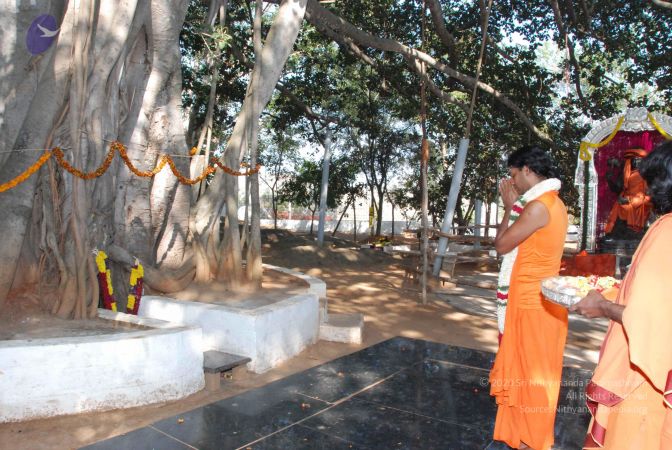 20100102 Photo 1513 1j37Co2M4AR9omOFE-d54gUhXA0m xL 3.JPG