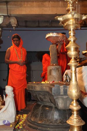 20100102 Photo 1665 1rtu61ds8GpUbl5IuCGaMW-aITCSHlYbu.JPG