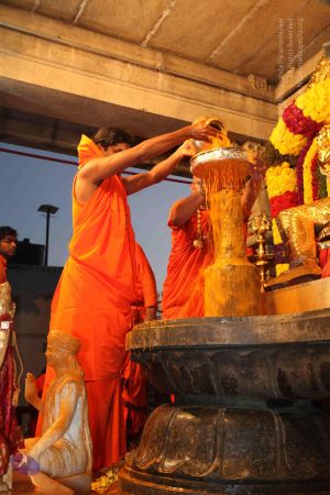 20100102 Photo 1679 1AtwpLDAtjzSQ1fkOYE3roCaWvhZk61P .JPG