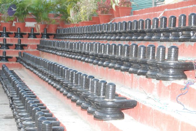 20100102 Photo 2311 1KKrhWKjGf85pH1o0UcSYe2FiQShxUYhD.JPG